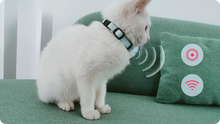Last inn bildet i Galleri-visningsprogrammet, KittyFind GPS Collar