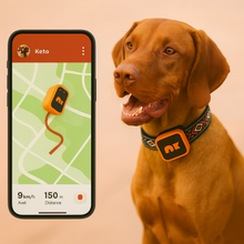 Last inn bildet i Galleri-visningsprogrammet, NordPaw Dog GPS
