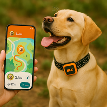 Last inn bildet i Galleri-visningsprogrammet, NordPaw Dog GPS
