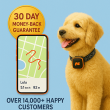 Last inn bildet i Galleri-visningsprogrammet, NordPaw Dog GPS
