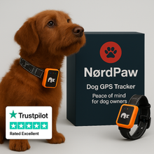 Last inn bildet i Galleri-visningsprogrammet, NordPaw Dog GPS
